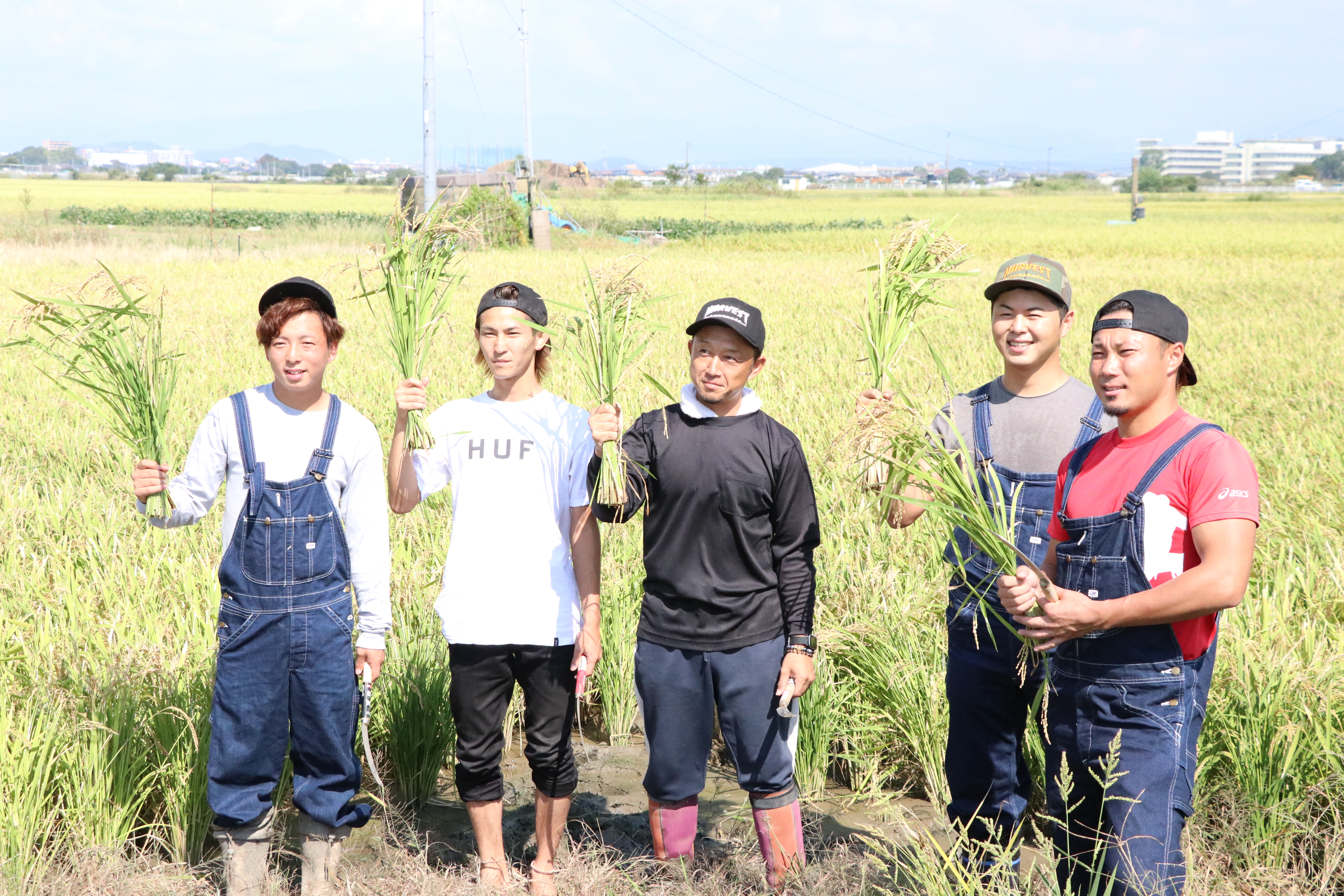 熊本の若手農家がてがける低タンパク米~HARVESTドリーム企画vol５LGCソフト.稲刈り&取材編~